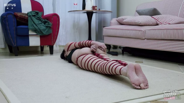 Screenshot 2 from YT2654 Revengeful bondage for a girl who hasn’t been seen for a long time