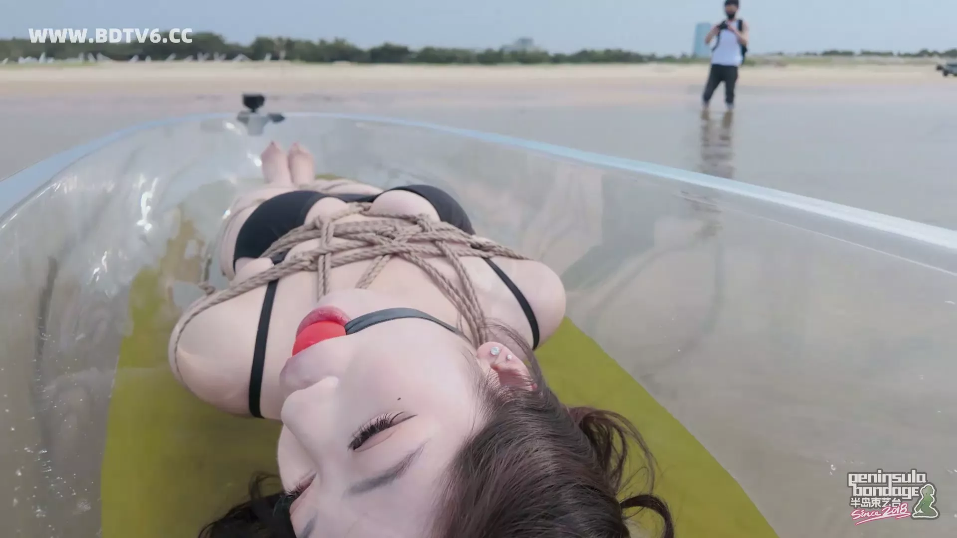 Screenshot 4 from Jinan Rope: Four-Horse Bondage & Aestheticism
