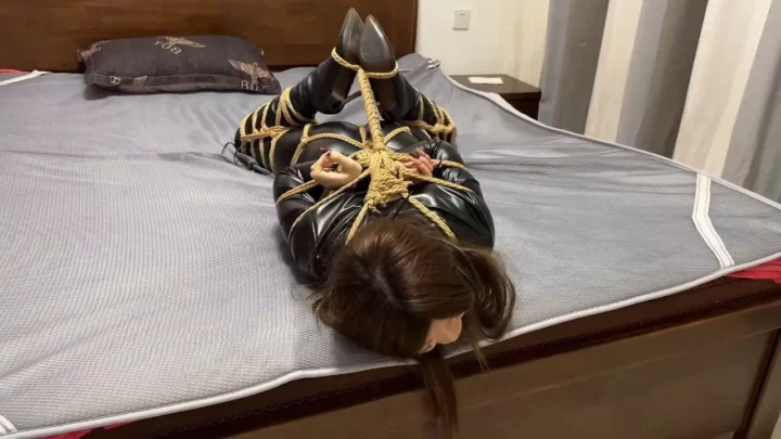 金宝：猫眼大盗的终极盗窃——自投罗网！