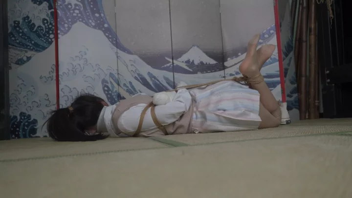 大象人工作室：Aww的极致帆布鞋束缚