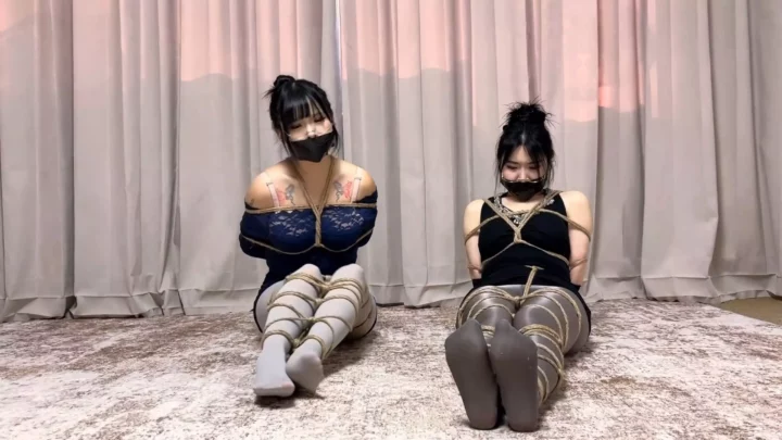 云雀：扭曲的家族纽带——医生与护士遭绑架