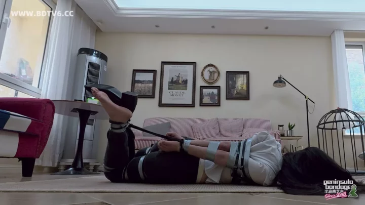 Jinan Rope: New Security System 2 – Haiyu’s Predicament