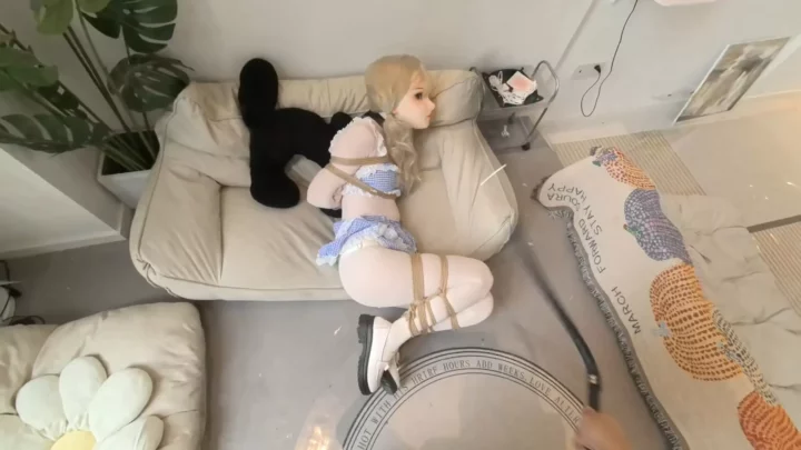 Fan Xiaoxiao: Betrayal & Bondage – The ‘Competent Stuffing’ Saga