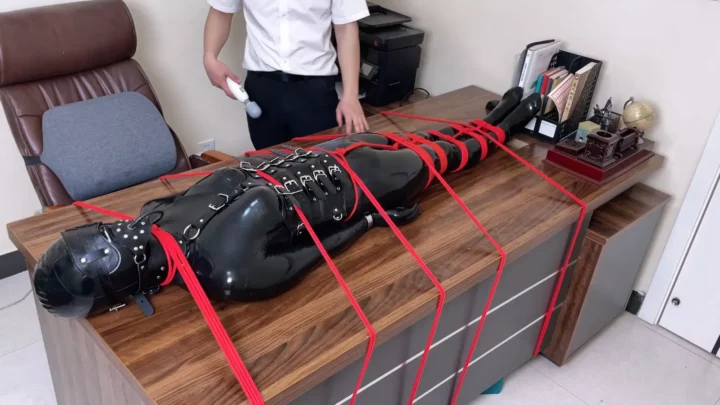 Sugar Studio: Hogtied Latex Office Ornament