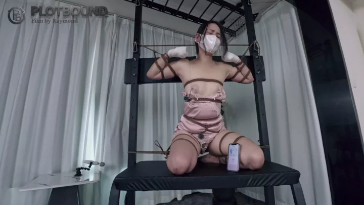 Raymond’s Pet Caretaker 3: Extreme Obedience Training