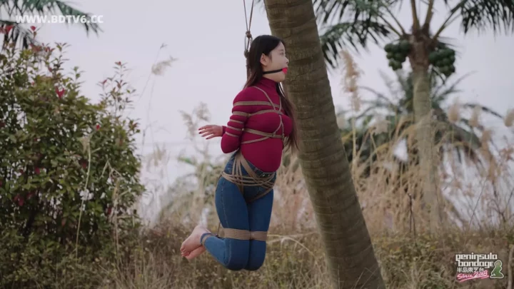 Jinan Rope: Winter’s Embrace – Hogtied in Coconut Trees