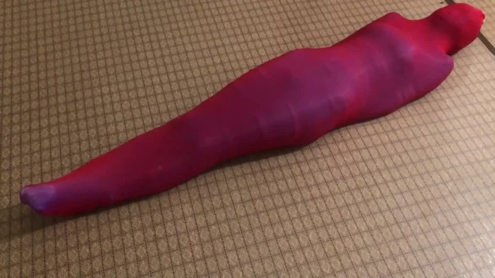 Screenshot 8 from Shengyuan Studio: Little Lion’s Stocking Cocoon Predicament