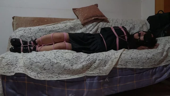 Screenshot 8 from Delightful Experience: Robbery Gone Wrong – JK Girl Gagged!