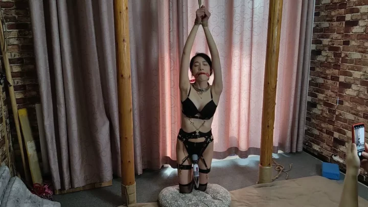 Screenshot 5 from Willing Studio: 야시의 강도 높은 개 훈련