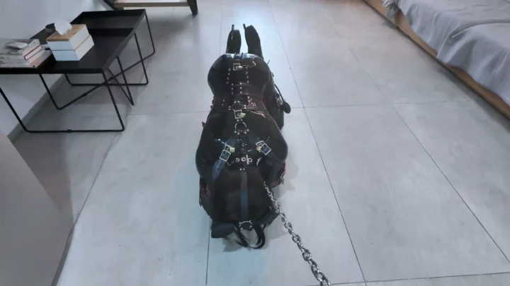 Screenshot 2 from ZHUA: K9 Suit Puppy Play – Corset, Dog Mask & High Heels