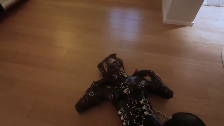 Screenshot 6 from ZHUA: K9 Suit Puppy Play – Corset, Dog Mask & High Heels