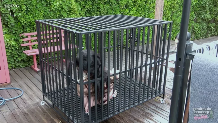 Screenshot 4 from Jinan Rope: Pet Bathing – A Unique Chinese Bondage Tutorial