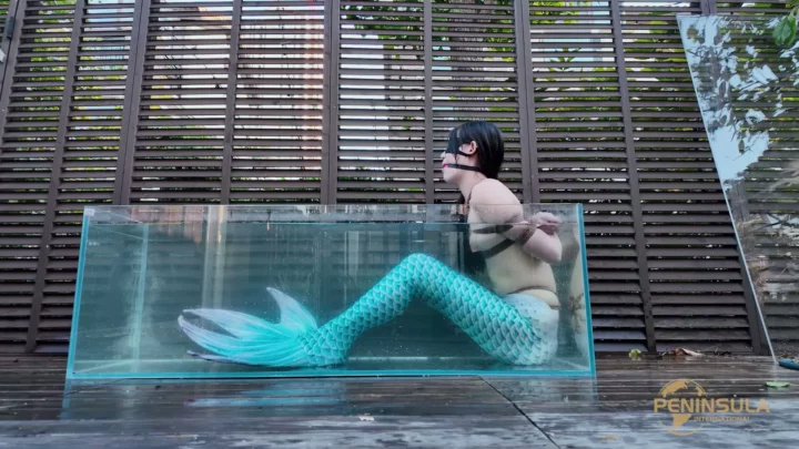 Screenshot 7 from Jinan Rope: Mermaid’s Secret Caught on Camera!
