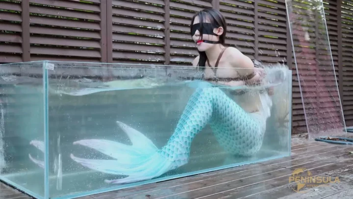 Screenshot 8 from Jinan Rope: Mermaid’s Secret Caught on Camera!