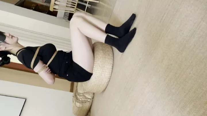 Screenshot 7 from Altman’s Asian Hogtie Collection: Two Girls Bound & Gagged