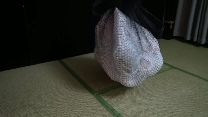 Screenshot 5 from Aoao’s Extreme Cocoon: Elephant Man Studio’s Creative Wrap