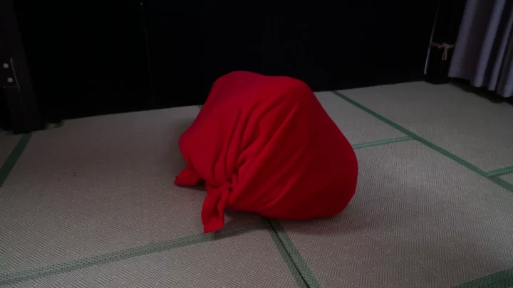 Screenshot 8 from Aoao’s Extreme Cocoon: Elephant Man Studio’s Creative Wrap