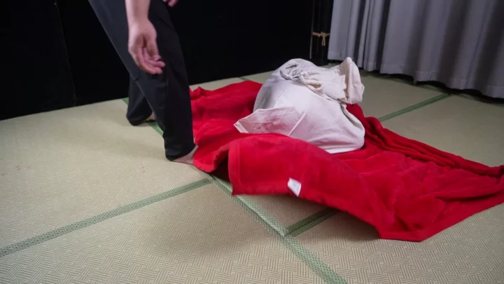 Screenshot 9 from Aoao’s Extreme Cocoon: Elephant Man Studio’s Creative Wrap