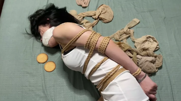 Screenshot 6 from Liu Yang’s Alien Abduction: A BDSM Experiment by Skylark