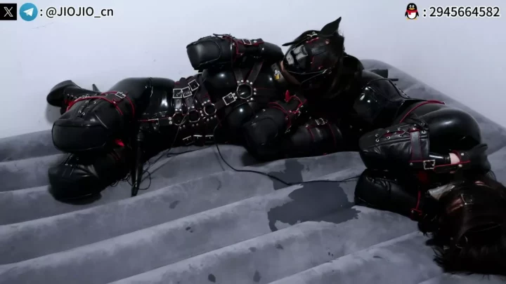 Screenshot 7 from JIO JIO: Double Latex K9 Suits & Electric Coyote Play