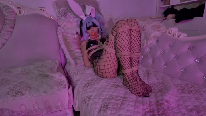 Hatsune Rabbit Hole: Fishnet & Bondage Training by Leng Shao & Bei Niang