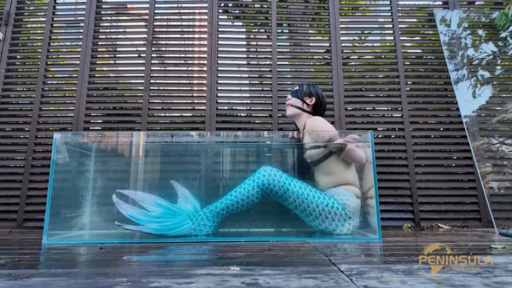 Jinan Rope: Mermaid’s Secret Caught on Camera!