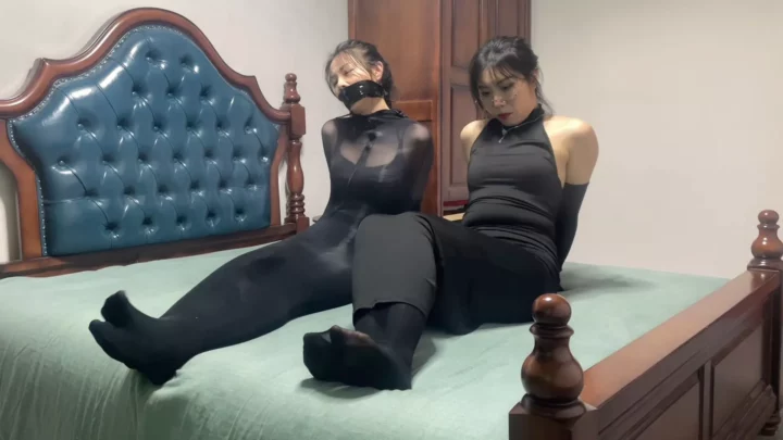 Skylark: Elegant Captives in Restrictive Evening Wear (Part 2)