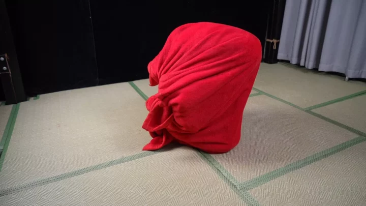 Screenshot 1 from Aoao’s Extreme Cocoon: Elephant Man Studio’s Creative Wrap
