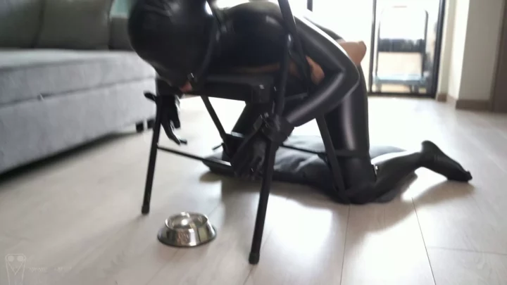 Screenshot 9 from Studio Bling: Ingenious Folding Stool Bondage & Gag Training