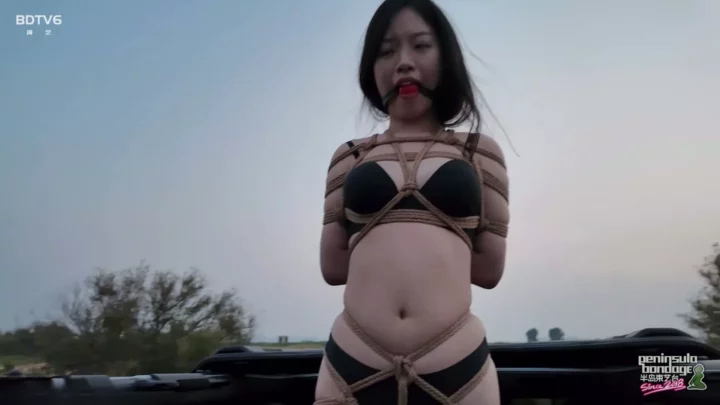 Screenshot 8 from Jinan Rope: Suspended in Motion – A Car-Bound Predicament