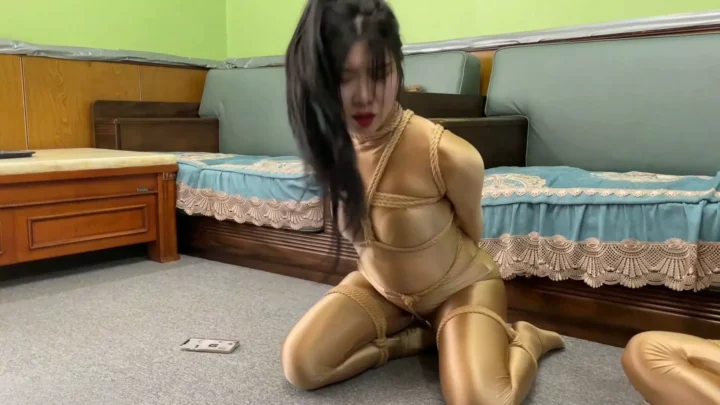 Screenshot 7 from Skylark: The Enigma of the Bound Ballerina