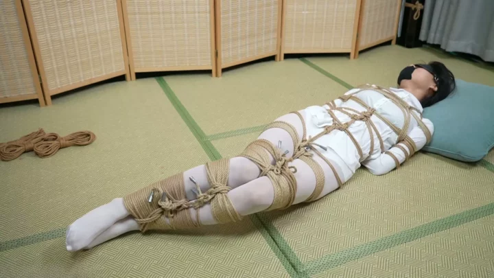 Screenshot 3 from Elephant Man Studio: Japanese Back Hand Tie Struggle