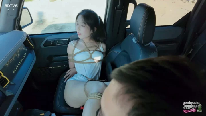 Jinan Rope: Dangerous Driving Distraction Punishment のスクリーンショット 6
