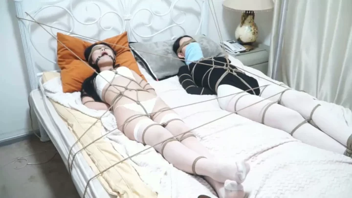 Screenshot 4 from XiaoYao: Lawyer’s Prison Nightmare – Truth Serum & Torture