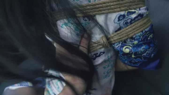 Screenshot 3 from Yume: Stewardess’s Secret Desires Exposed in Frogtie Restraint