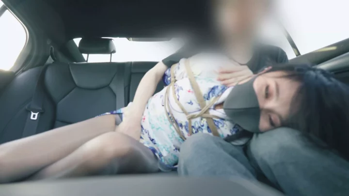 Screenshot 4 from Yume: Stewardess’s Secret Desires Exposed in Frogtie Restraint