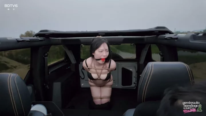 Jinan Rope: Suspended in Motion – A Car-Bound Predicament