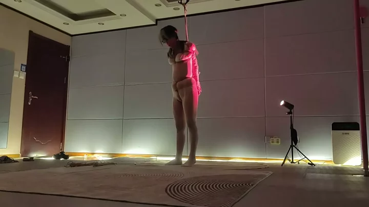 Screenshot 7 from Wenwen’s tightest straight arm whipping training
