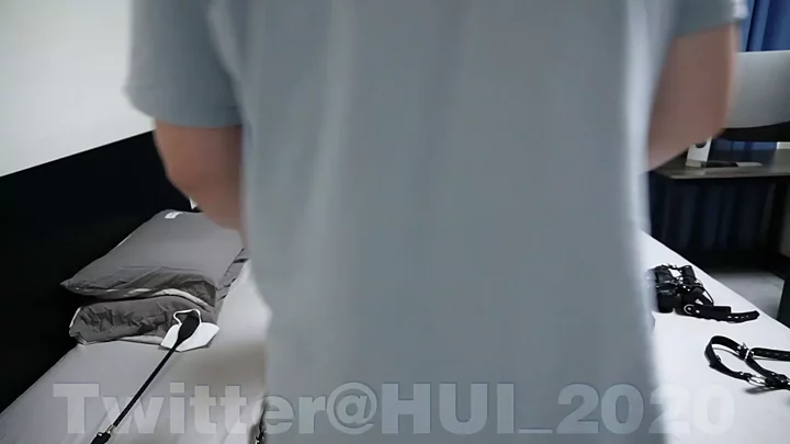 Screenshot 6 from HUI: Intense Horse Placement & Human Dog Training