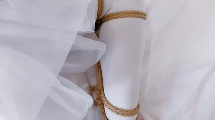 Screenshot 3 from Fan cheongsam was tied up with straight arms