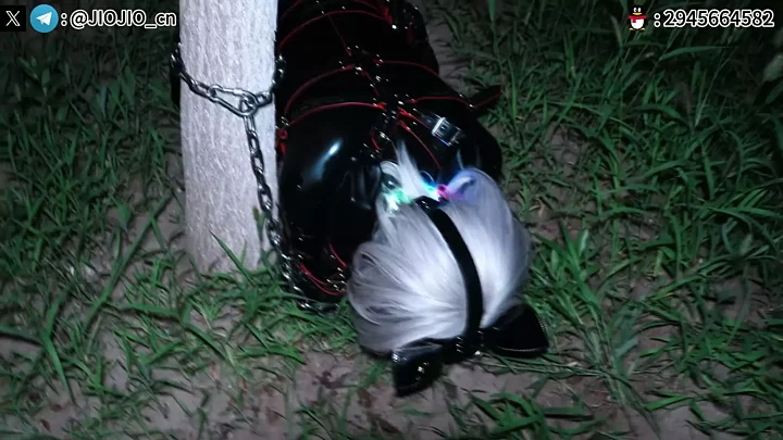 Screenshot 4 from Outdoor Chapter 2