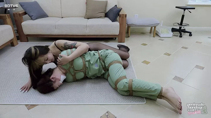 Screenshot 5 from YT2441 Veterinarian and Cat