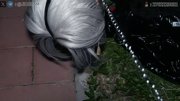 JIOBDSM: K9 Latex Training in the Park – Electric Shock & Vibrator のスクリーンショット 6