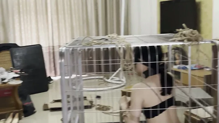 Screenshot 8 from Xiaoke Mu Gou’s training: K9 crawling on the knees