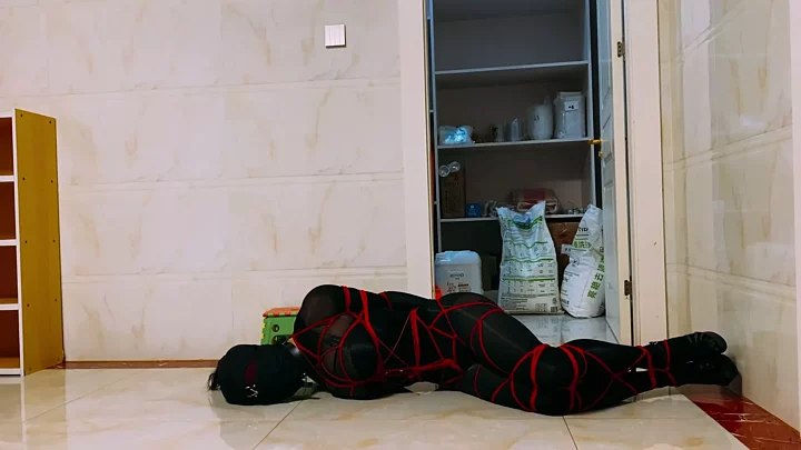 Screenshot 3 from Plot item: Female thief sentenced to life imprisonment