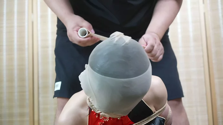 Screenshot 6 from Aoao & Xiao0 – cos Chunli & Ada Wong