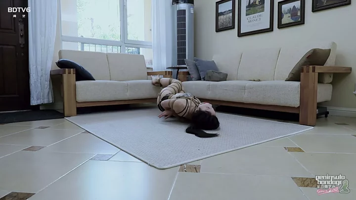 Screenshot 4 from YT2428 The story of a cat and a woman