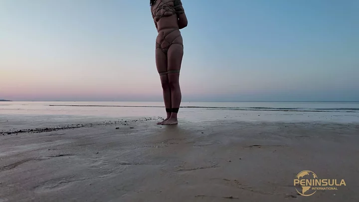 Screenshot 4 from YT2531 To prove that there are no sharks near the coast of Yantai