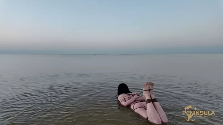Screenshot 5 from YT2531 To prove that there are no sharks near the coast of Yantai
