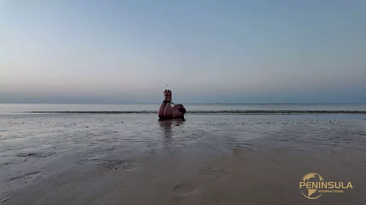 Screenshot 7 from YT2531 To prove that there are no sharks near the coast of Yantai